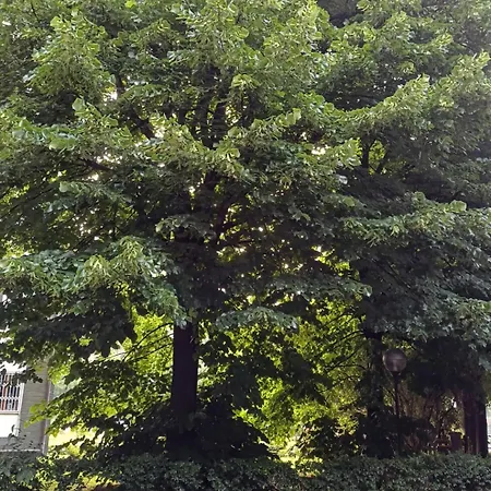 Le Jardin Secret Milan